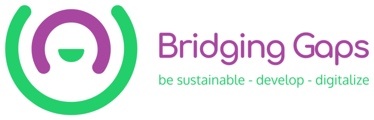 Bridging Gaps. Second-Hand Ventures for Sustainable Development and Digitalization